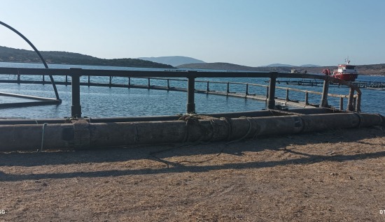 Balık Çiftlikleri İçin Kuş Kulesi Sistemleri | CBAqua