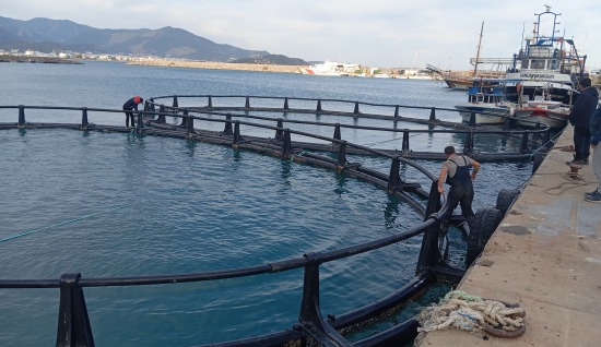 Balık Yetiştirme Kafesleri: Offshore Kafes Sistemleri ve Kurulumu