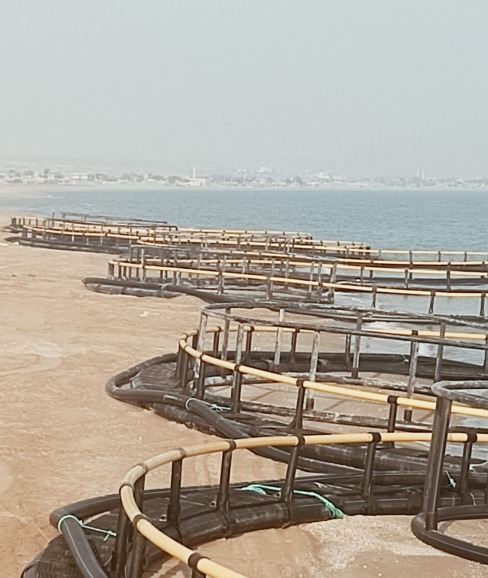 CAGE ASSEMBLY WITH HDPE PİPES