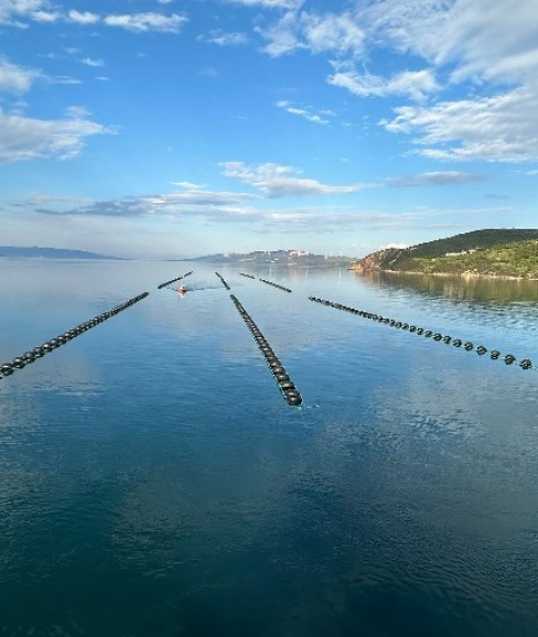 MUSSELS FARM INSTALLATION