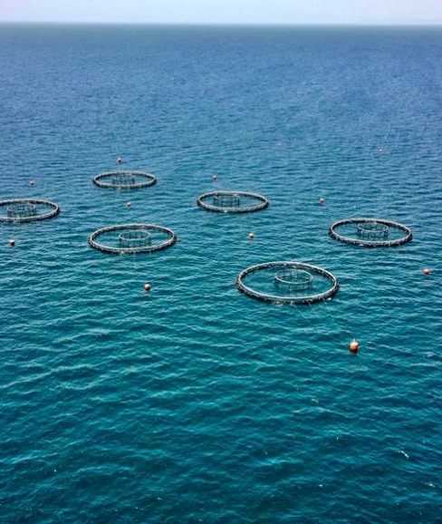 INSTALLATION OF OFFSHORE MOORING SYSTEM